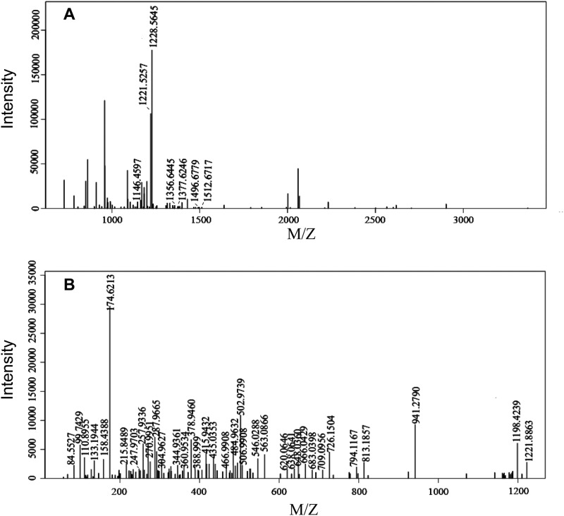 FIGURE 11.