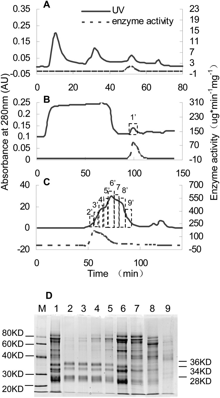 FIGURE 9.