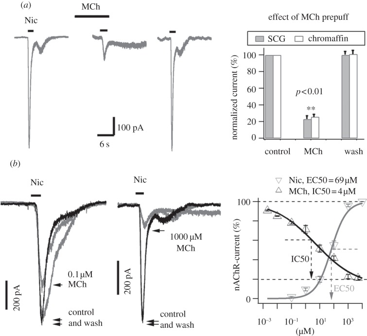 Figure 1.