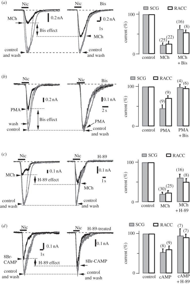 Figure 5.