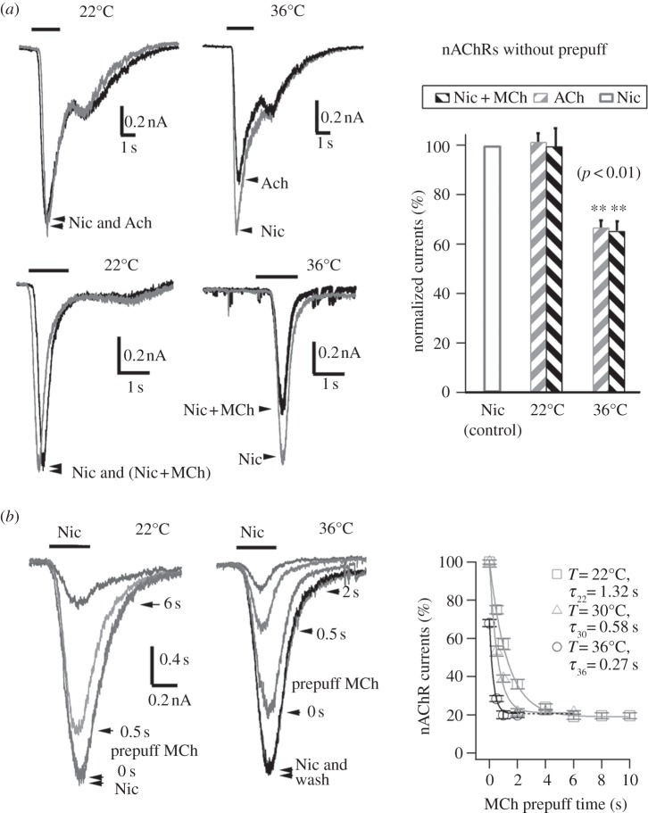 Figure 3.