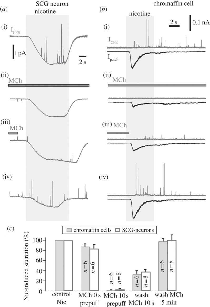 Figure 6.