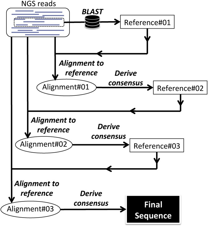 Fig. 2