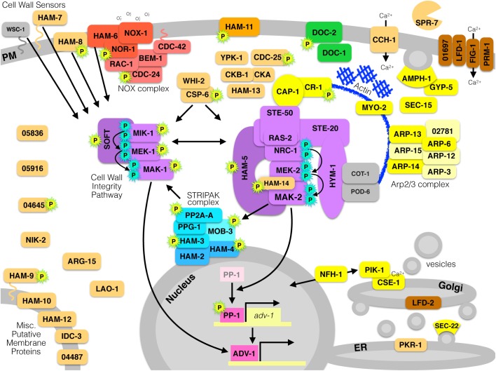 FIGURE 3