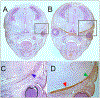 Fig. 6.