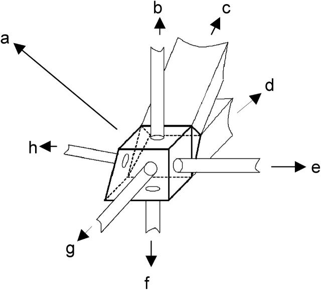 FIGURE 3