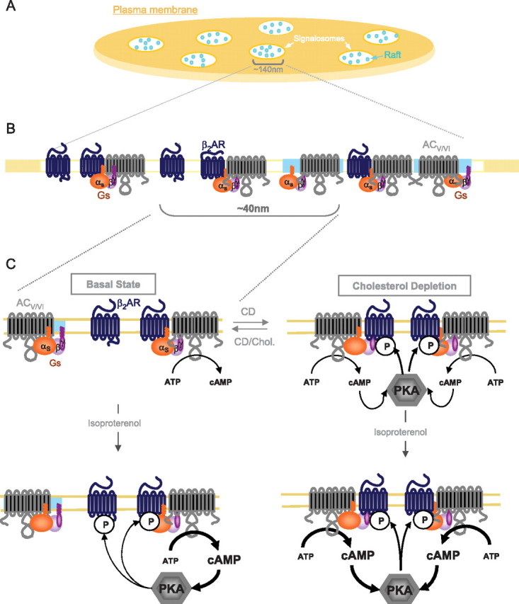 FIGURE 10.