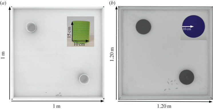 Figure 10.