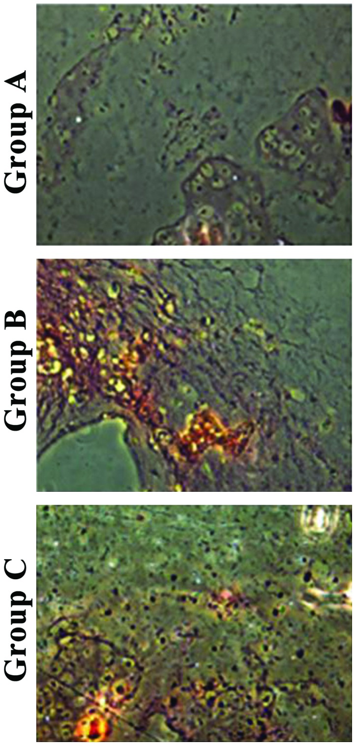 Figure 3.