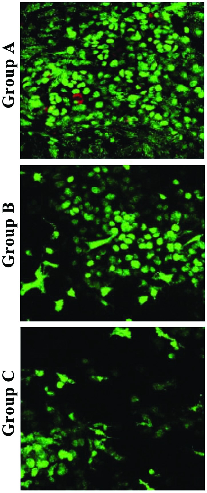 Figure 2.