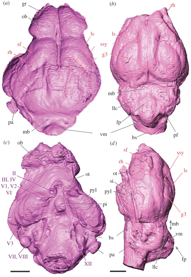 Figure 2.