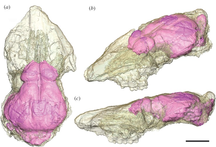 Figure 1.