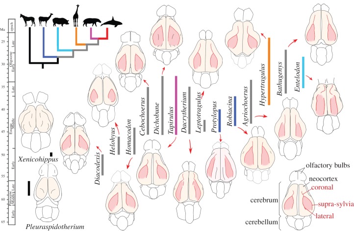 Figure 3.