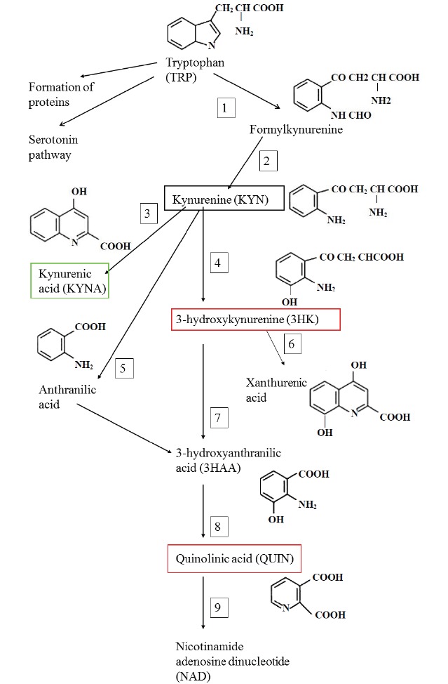 Fig. (3)