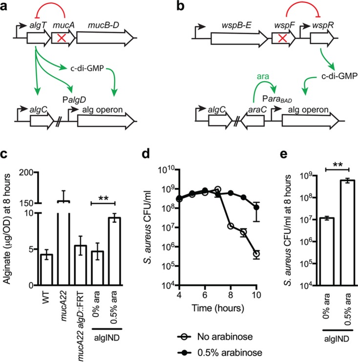 FIG 3 