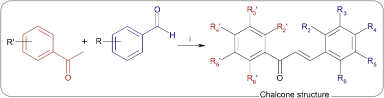 Fig. 1