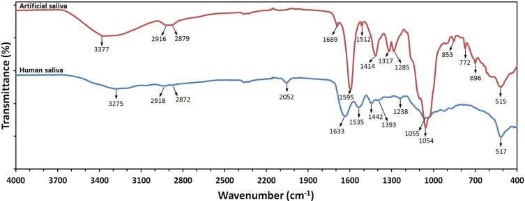 Figure 13