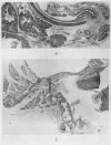 142-3