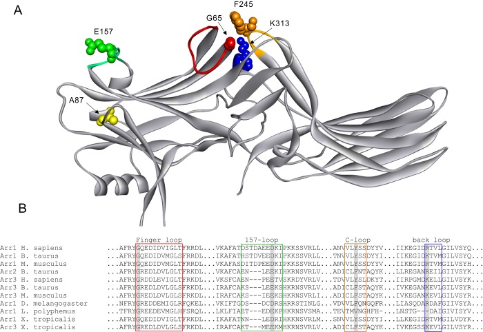 Fig 1