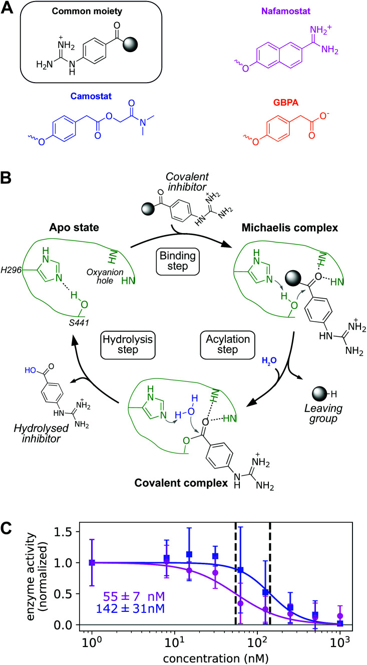 Fig. 2