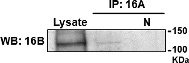 Figure 10.