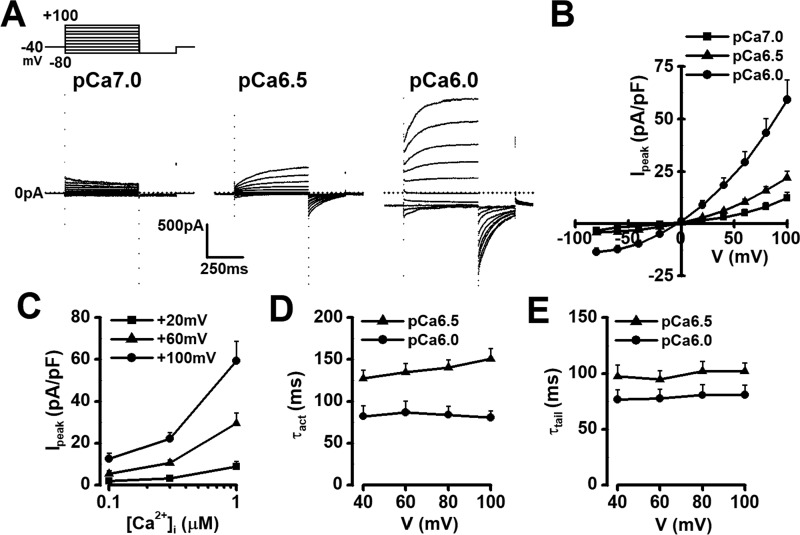 Figure 2.