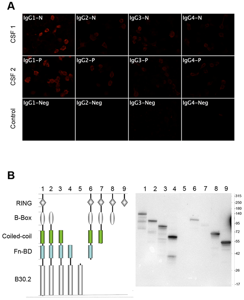 Figure 3: