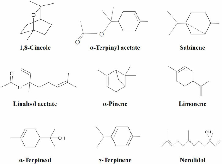 FIGURE 2