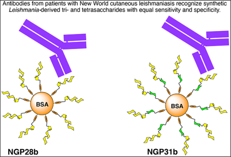 graphic file with name nihms-2011085-f0001.jpg