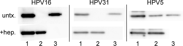 FIG. 6.