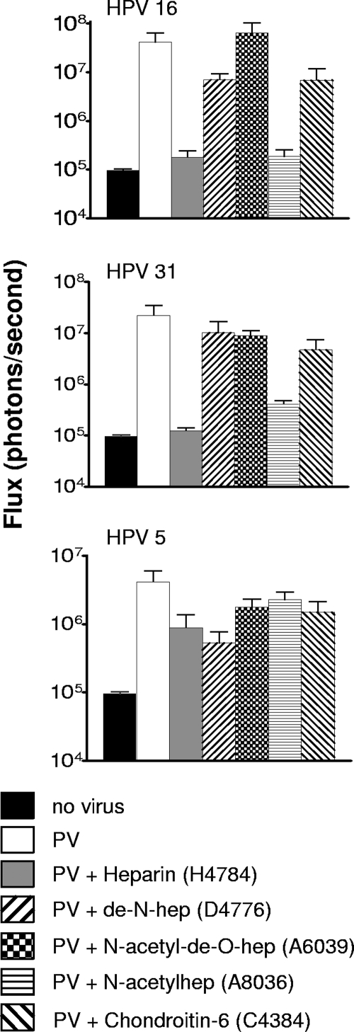 FIG. 4.