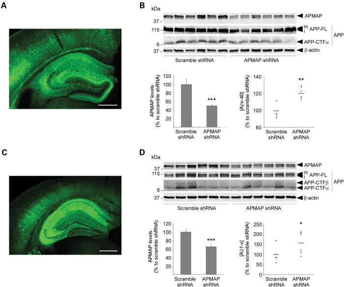 Figure 4.