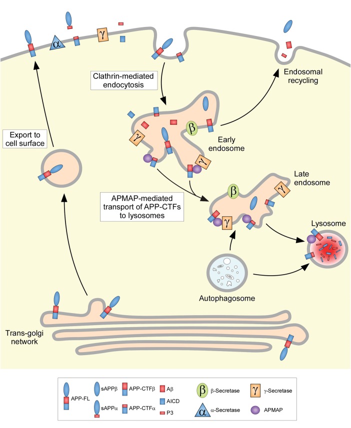 Figure 6.