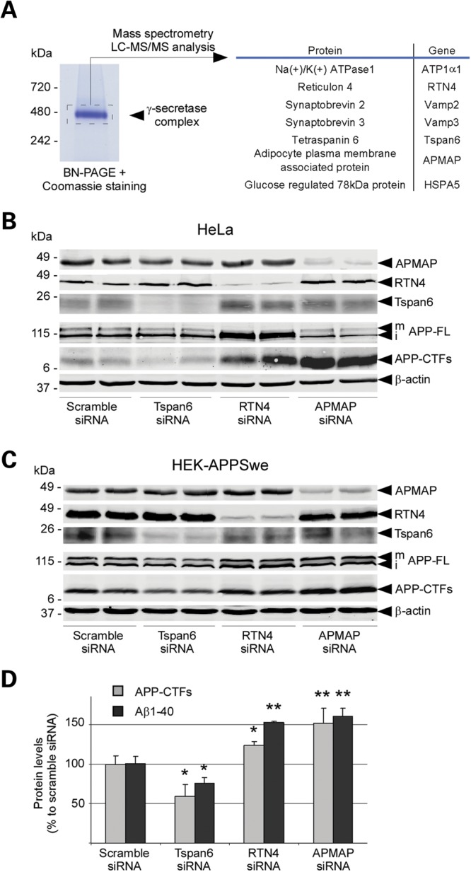 Figure 1.