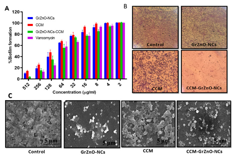 graphic file with name nanomaterials-10-01453-i002.jpg