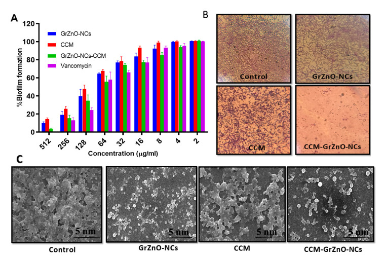 graphic file with name nanomaterials-10-01453-i001.jpg