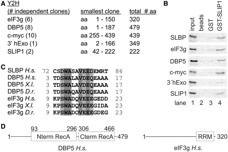 Figure 3.