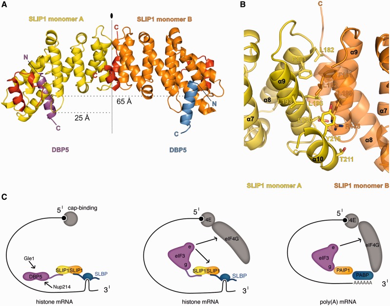 Figure 6.