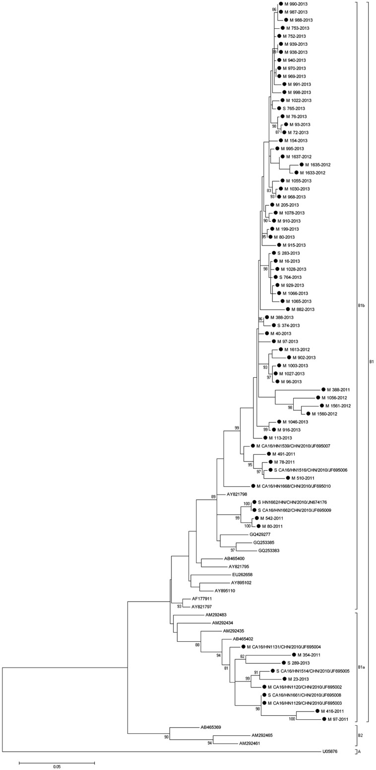 Figure 5