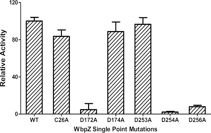 FIG 3