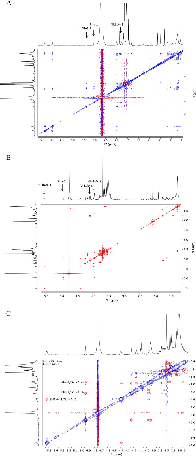 FIG 2