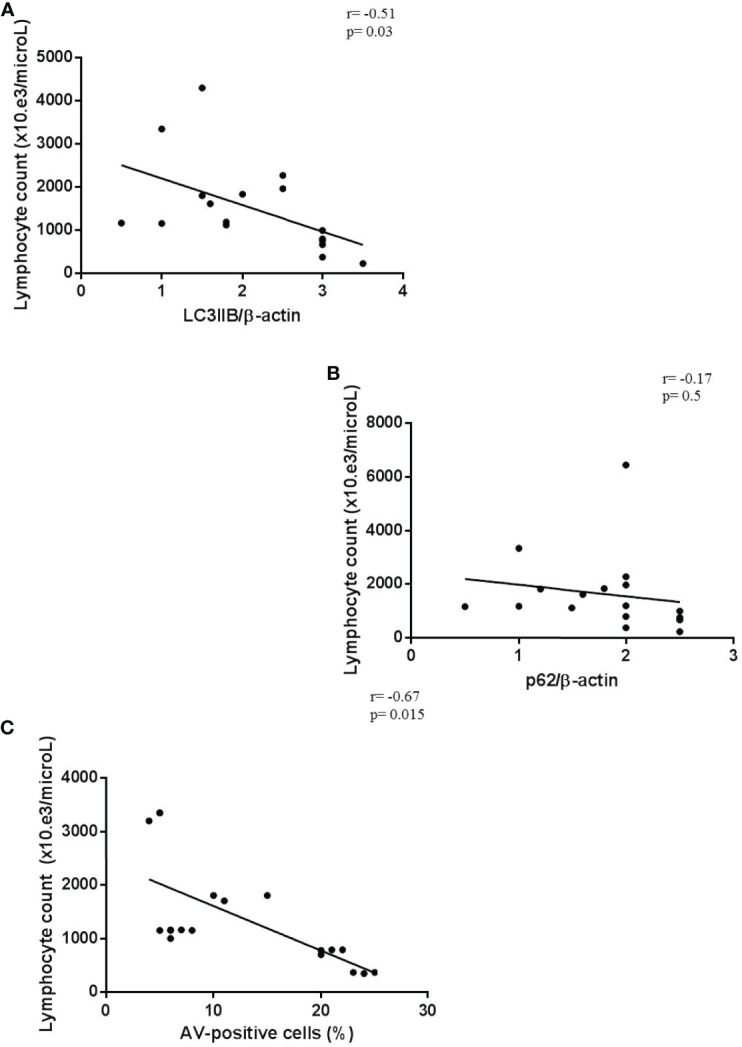 Figure 6