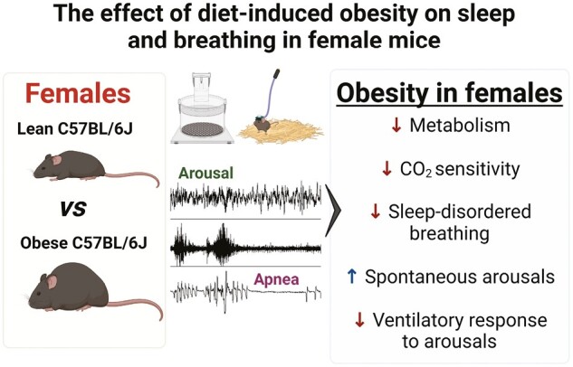 Graphical Abstract