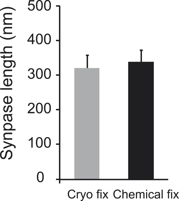 Figure 5—figure supplement 1.