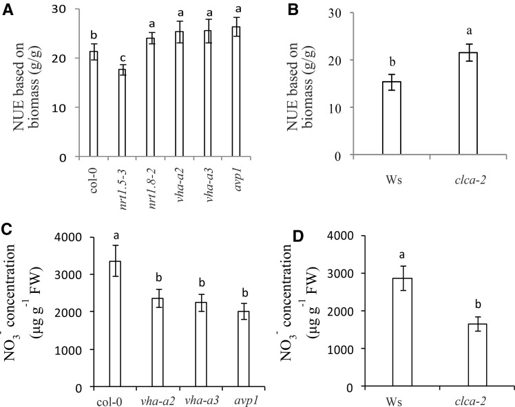 Figure 6.