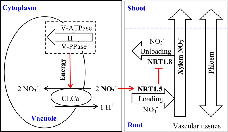 Figure 7.