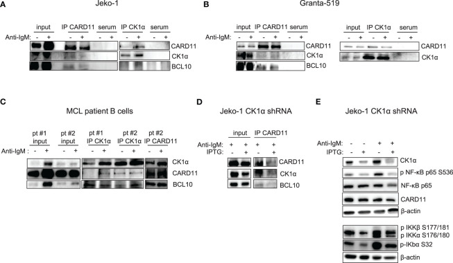 Figure 4