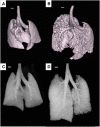 <b>Figure 4.</b>