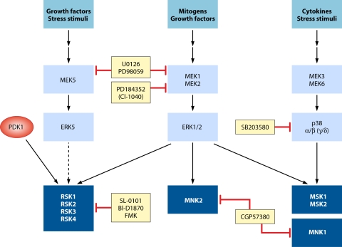 FIG. 7.