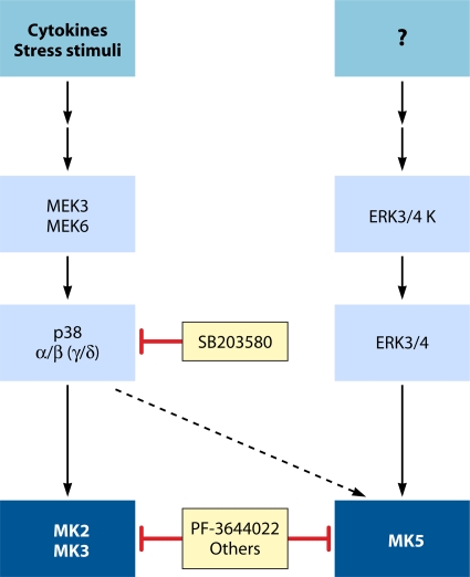 FIG. 10.